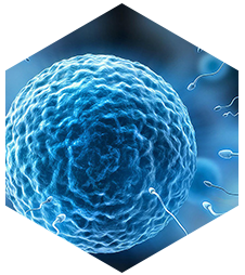 Abortion Pills For Sale Online